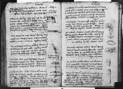 Paris Manuscript E, fol. 53v and 54r: Sketch depicting the flight of birds, 1513-14 by Leonardo da Vinci
